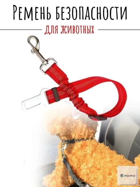 Популярный автокомплект для фиксации питомца красного цвета, произведённый в виде поводка с замковым креплением для собаки.