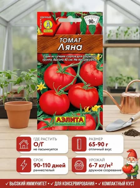 Семена Томатов Ляна, низкорослый помидор.