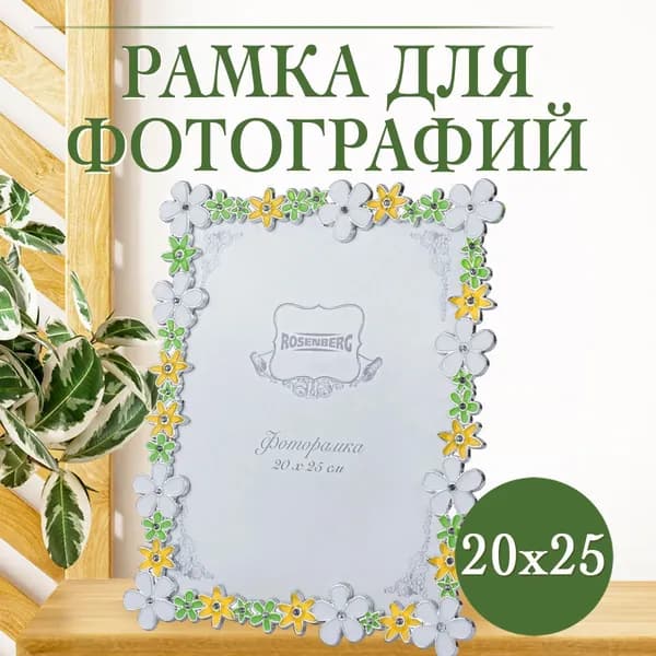 Фоторамка в интерьер, рамка для фото, 20x25см, Rosenberg RPL-770010-L