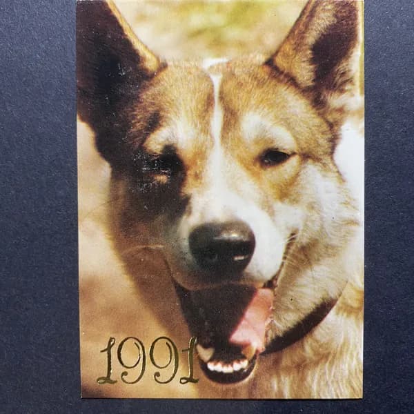 Календарик карманный СССР Собаки 1991 год