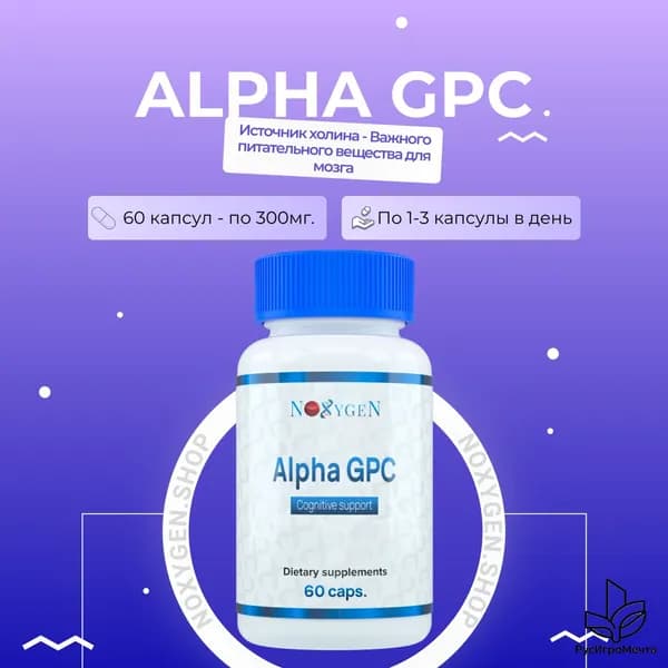 Alpha GPC 60 капс. ноотроп, эйфоретик, энергетик