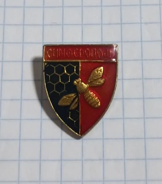 Значок "Симферополь. Пчела и соты"