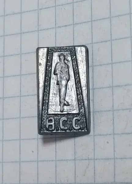 Значок "ВСС" СССР
