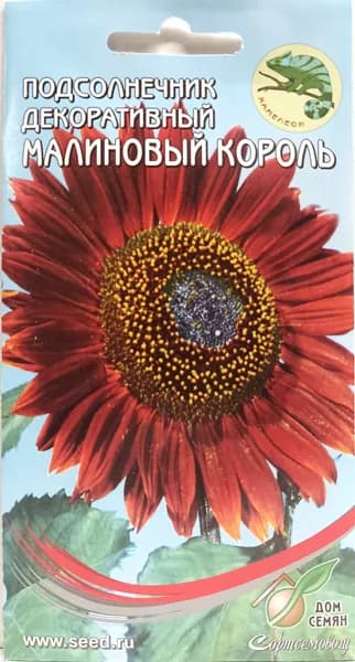Подсолнечник декоративный Малиновый Король, 15 семян