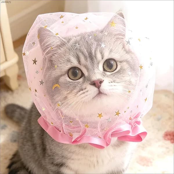 намордник для собак и кошкаот подбирания