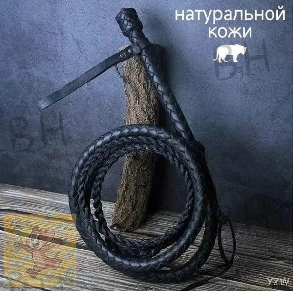 Кнут