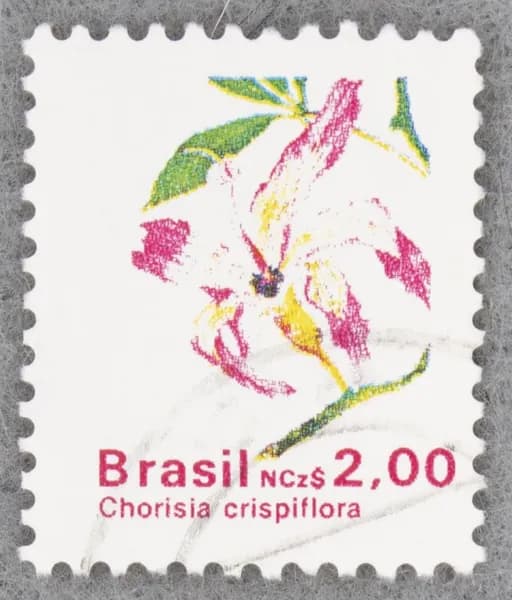 Почтовая марка "Chorisia crispiflora". Стандартный выпуск. Номинал 2,00 NCz. Brasil. 1989 год. (Michel BR 2337)