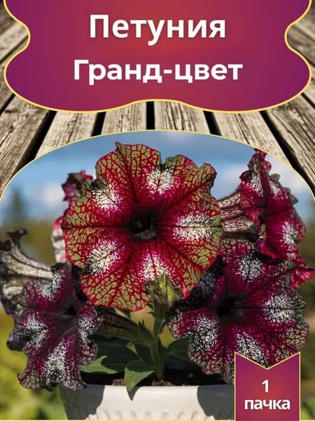 Петуния Гранд цвет, семена 10 шт.