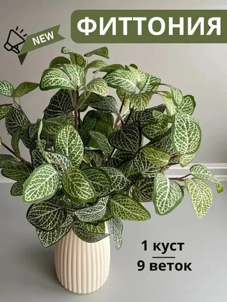 Фиттония искусственная для декора
