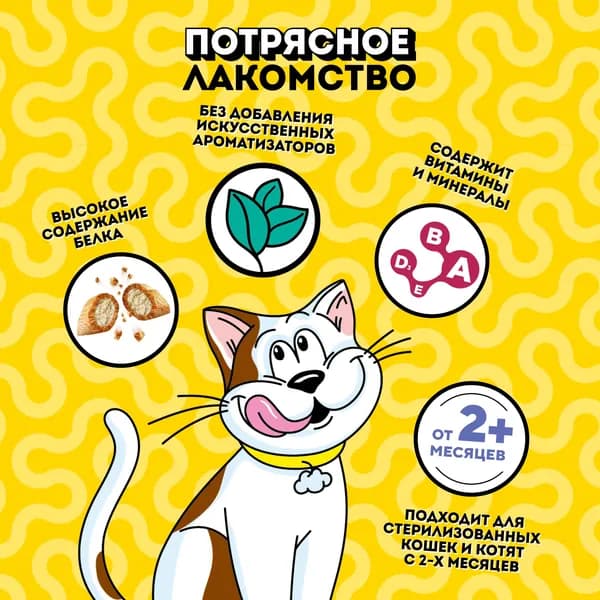 Dreamies лакомые подушечки с сыром, 60 г