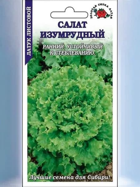 Салат Изумрудный /Сотка/ 0,5 г листовой