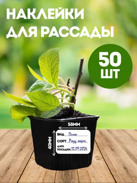 Наклейки для рассады, 50 шт, для маркировки и подписи