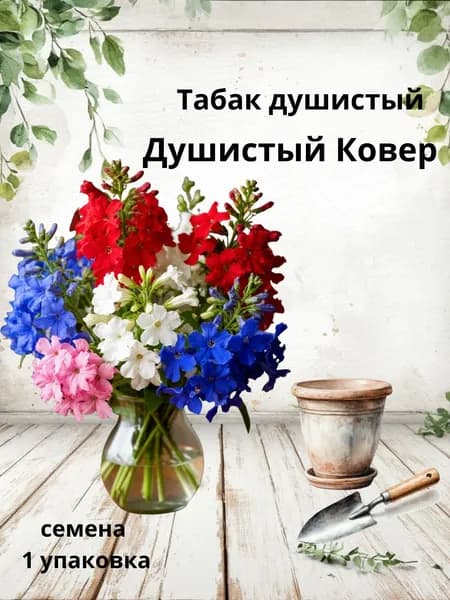 Табак Душистый Душистый Ковер, семена, 10 шт