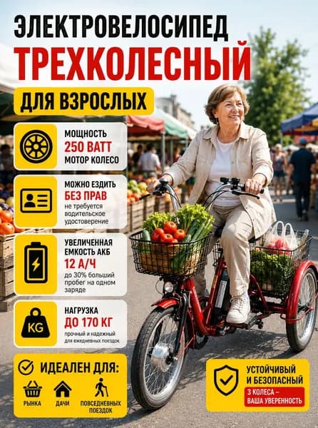 Электровелосипед трехколесный для взрослых РВЗ Чемпион 24 дюйма, 250W, 12Ah, грузовой, с корзиной, красный