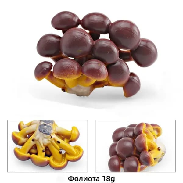 Моделирование грибов