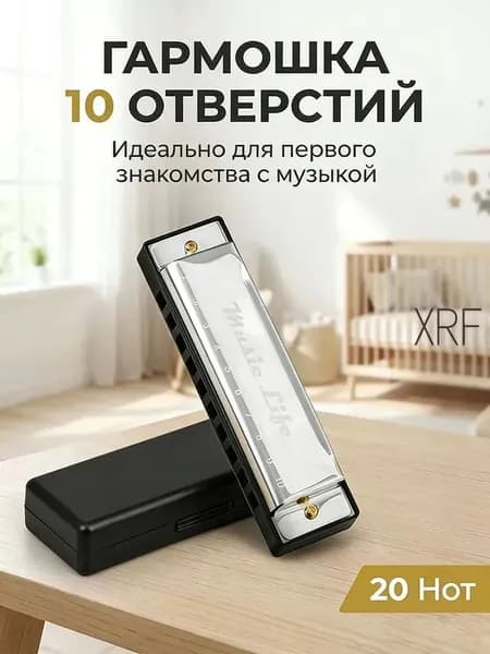 Детская губная гармошка диатоническая С мажор 10 отверстий, металл/пластик с футляром, развивающая музыкальная игрушка от 3 лет