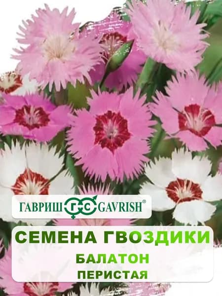 Семена Гвоздики перистая "Балатон" смесь 0,1 гр.