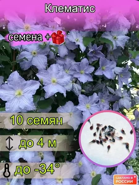 Семена ,10шт