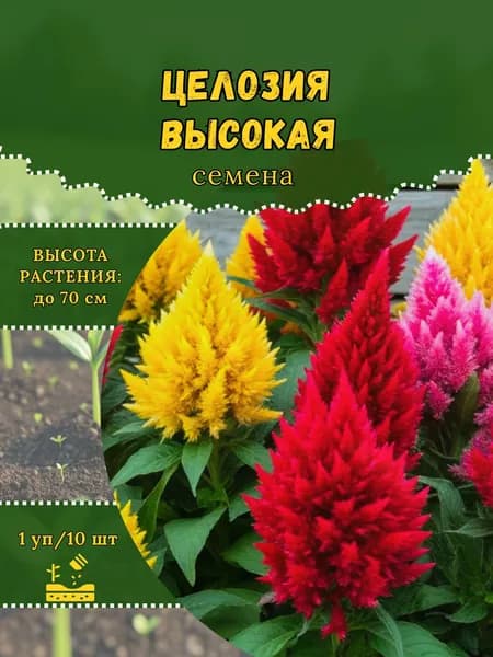 Целозия "Высокая, смесь" семена, 1 пачка