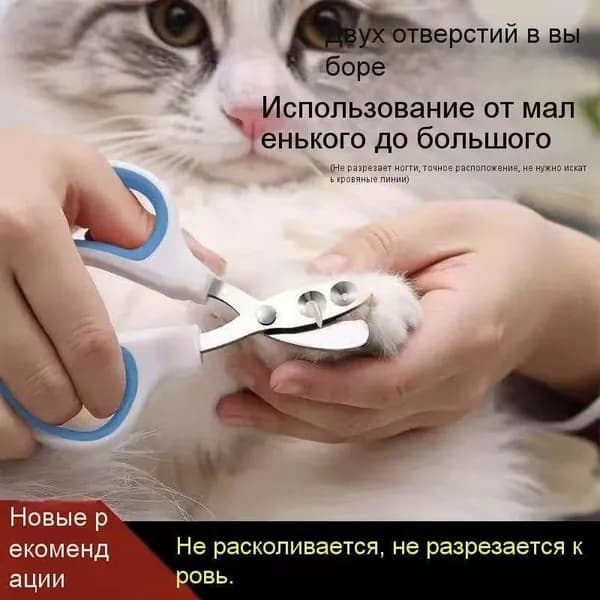 Кусачки для ногтей кота две отверстия, без разрыва и кровяной линии