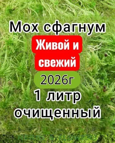 Грунт для цветов и террариумов "МОХ СФАГНУМ" 1 литр - 1 упаковка