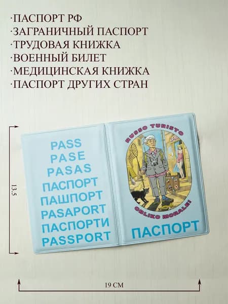 Обложка на паспорт защитная твердая с принтом оригинальный рисунок/ /чехол на паспорт женский прикольный / обложка на загранпаспорт