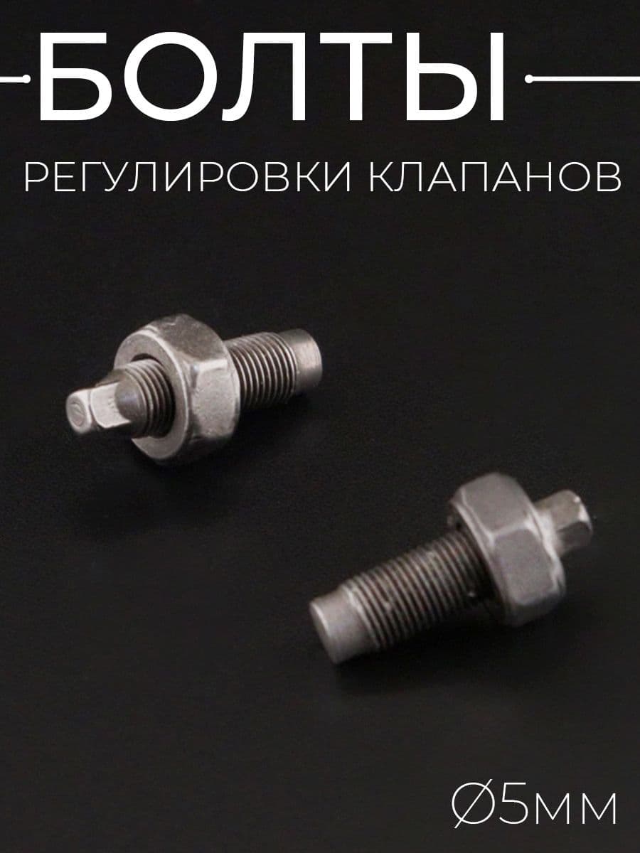 Болты регулировки клапанов (D-5mm) 139QMB