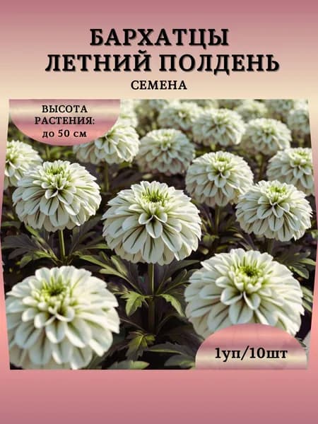 Бархатцы "Летний Полдень" семена, 1 пачка