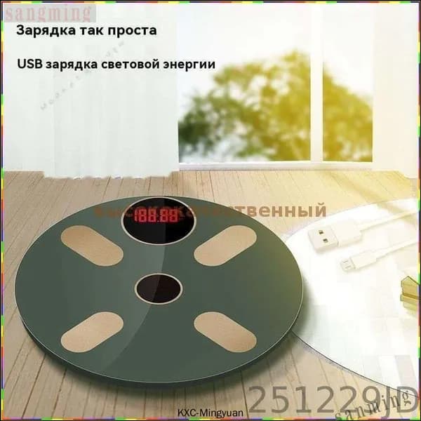 Напольные весы 6669511