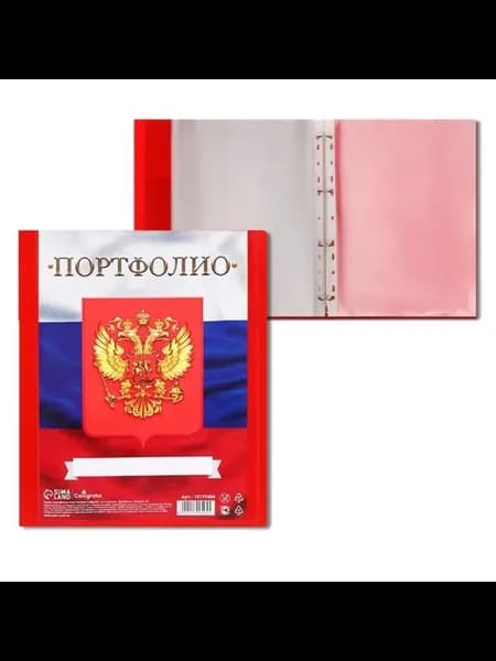 Папка-портфолио А4 пластиковая на 4 кольцах для школьника