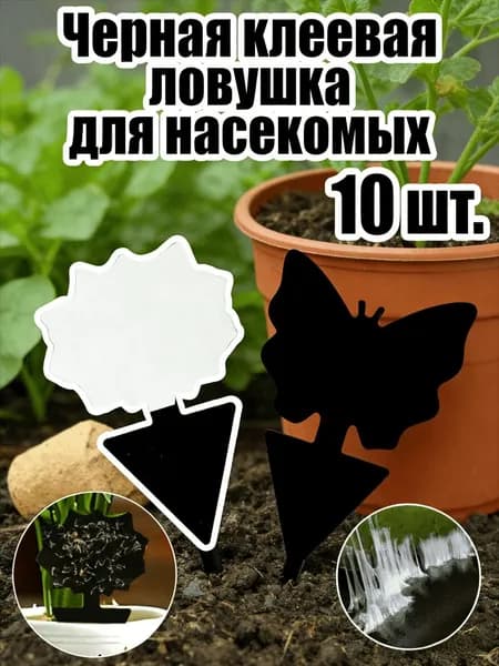 Ловушка для садовых вредителей