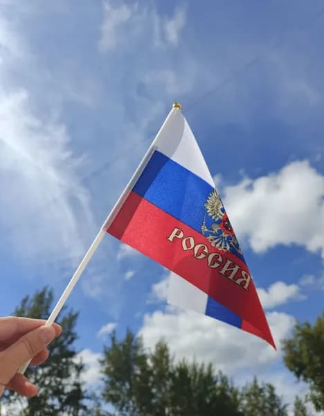 Флаг России с гербом 20х13,5