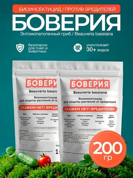 Боверия от вредителей и против насекомых