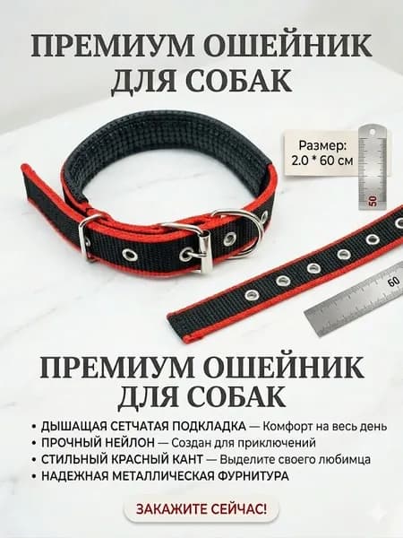 Прочный двухцветный ошейник для собак с мягкой поролоновой подкладкой и надежной металлической пряжкой