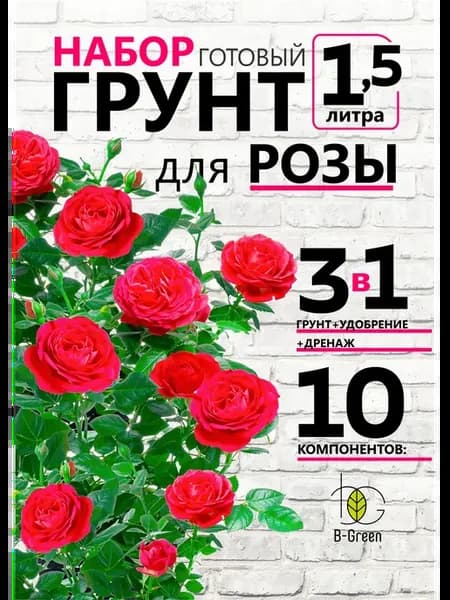 Грунт для Розы Азалии Рододендрона