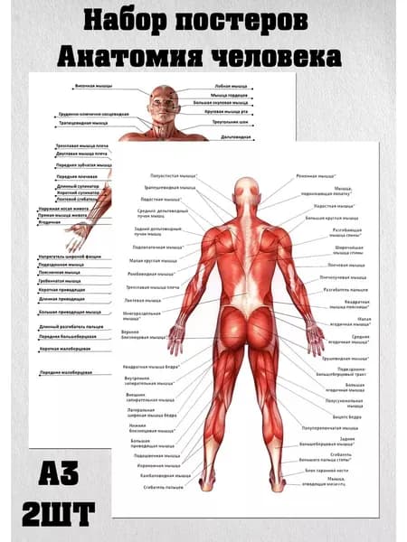 Все постеры Постер, 42 см х 30 см