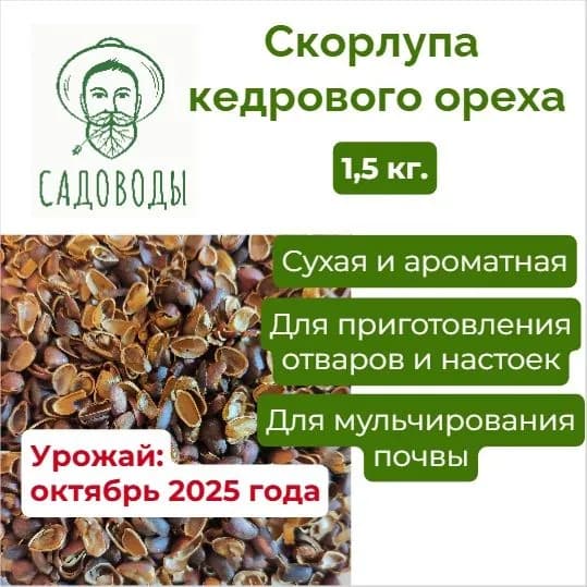 Скорлупа кедрового ореха_1,5 кг
