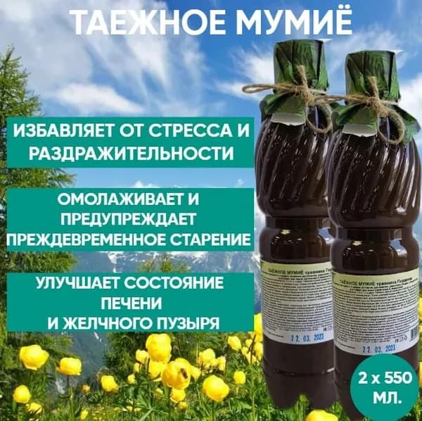 Мумие таежное натуральное 550 мл (2 шт. в упаковке) (Здравница травника Гордеева)
