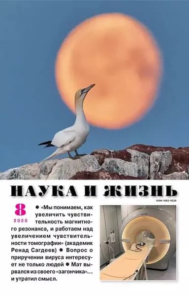 Наука и жизнь No08/2020 | Электронная книга