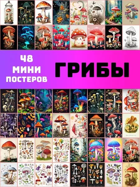 Набор постеров Грибы