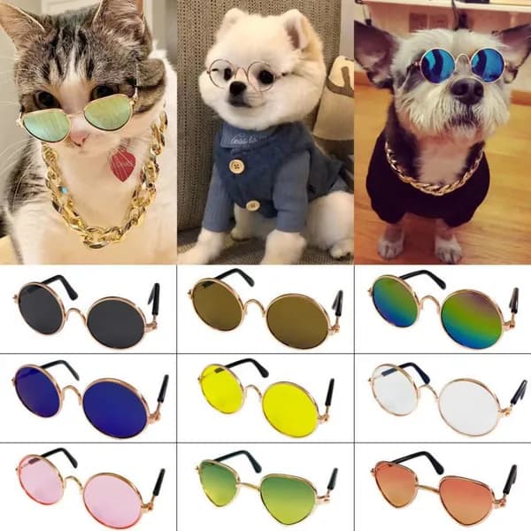Прикольные очки для питомцев: креативные аксессуары для маленьких собак и кошек