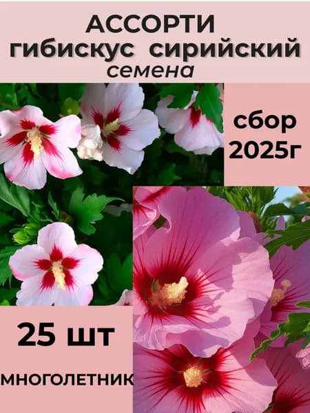 семена Гибискус сирийский ассорти белый/розовый, 25шт