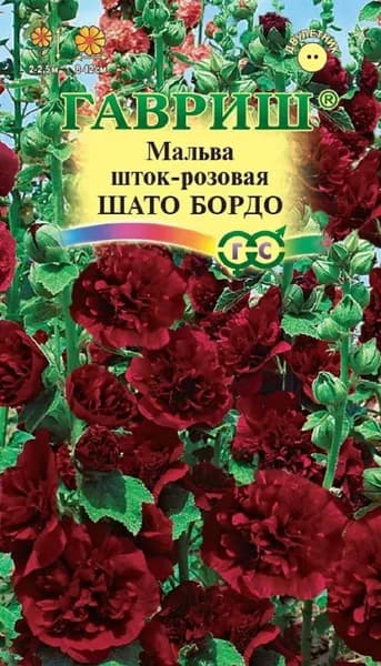 Мальва шток-розовая Шато бордо Яркое цветение
