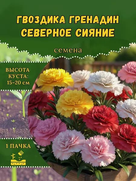 Гвоздика садовая "Гренадин Северное Сияние" семена, 1 пачка