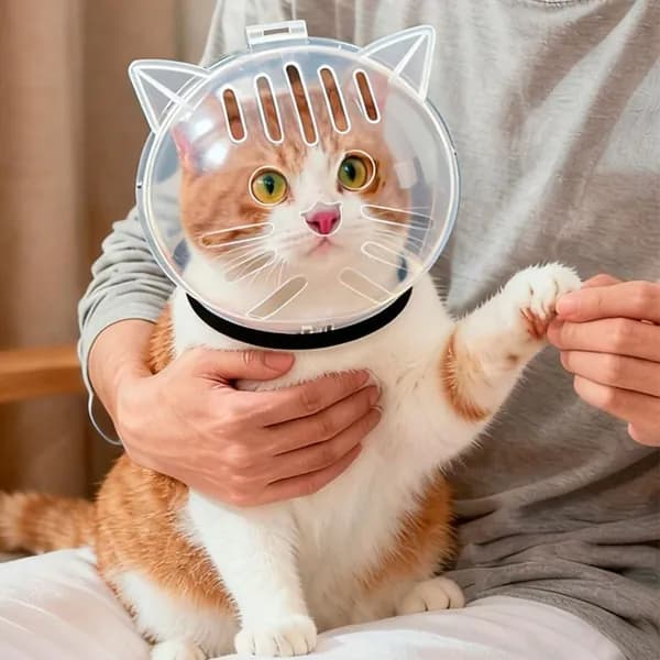 Прозрачный дышащий намордник для кошек - защитный купол от укусов