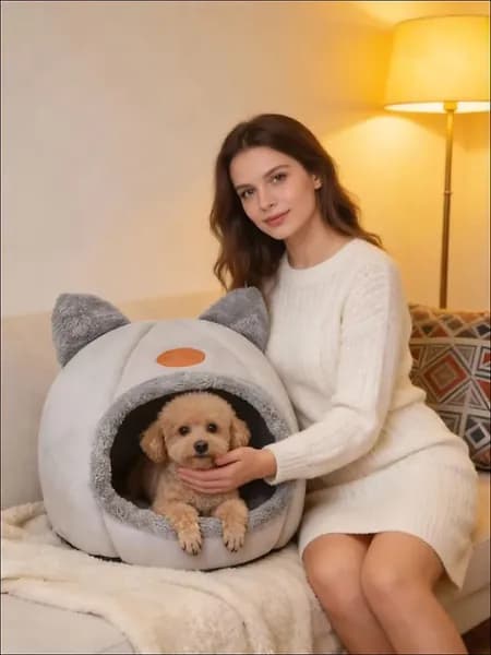 410*410*390MMДомик для питомца/лежанка для кошки/собаки, удобный и прочный домик в форме кошки, который не развалится и подходит для всех сезонов.