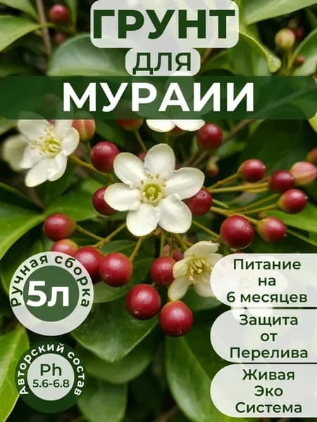 Готовый авторский грунт для Мурайи премиум 5 литров