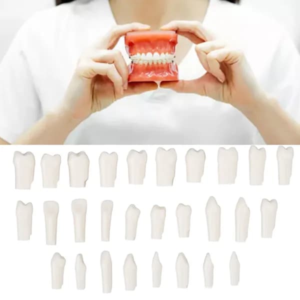 Часть съемных зубов