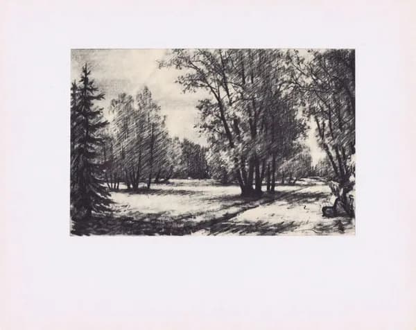 Санкт-Петербург. Павловск. Павловский парк. Парадное поле. Антикварная офсетная литография. Ленинград, 1971 г
