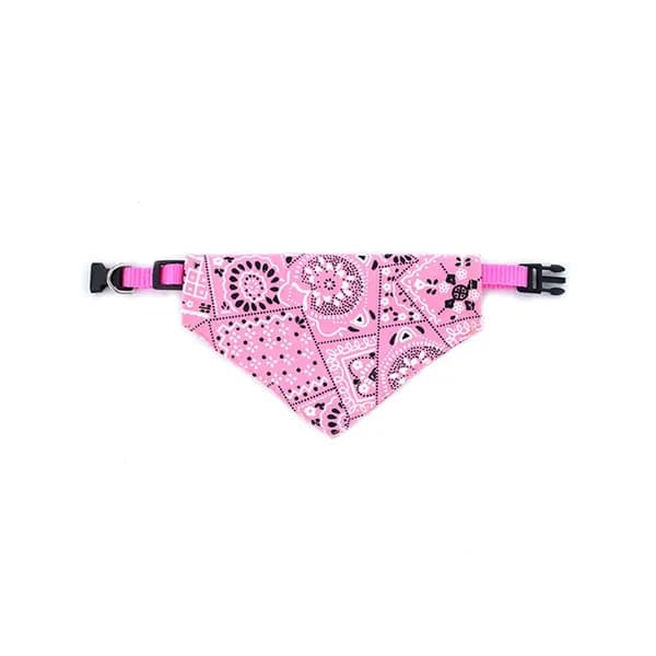 Собака Банданы